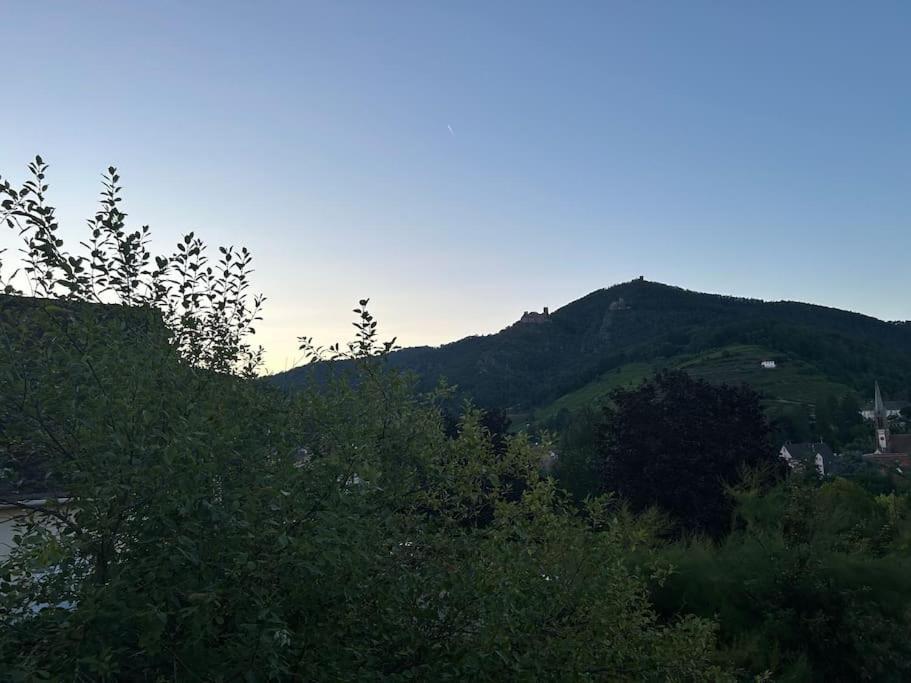 Vue Magnifique Sur Les Chateaux Ribeauville  Luaran gambar