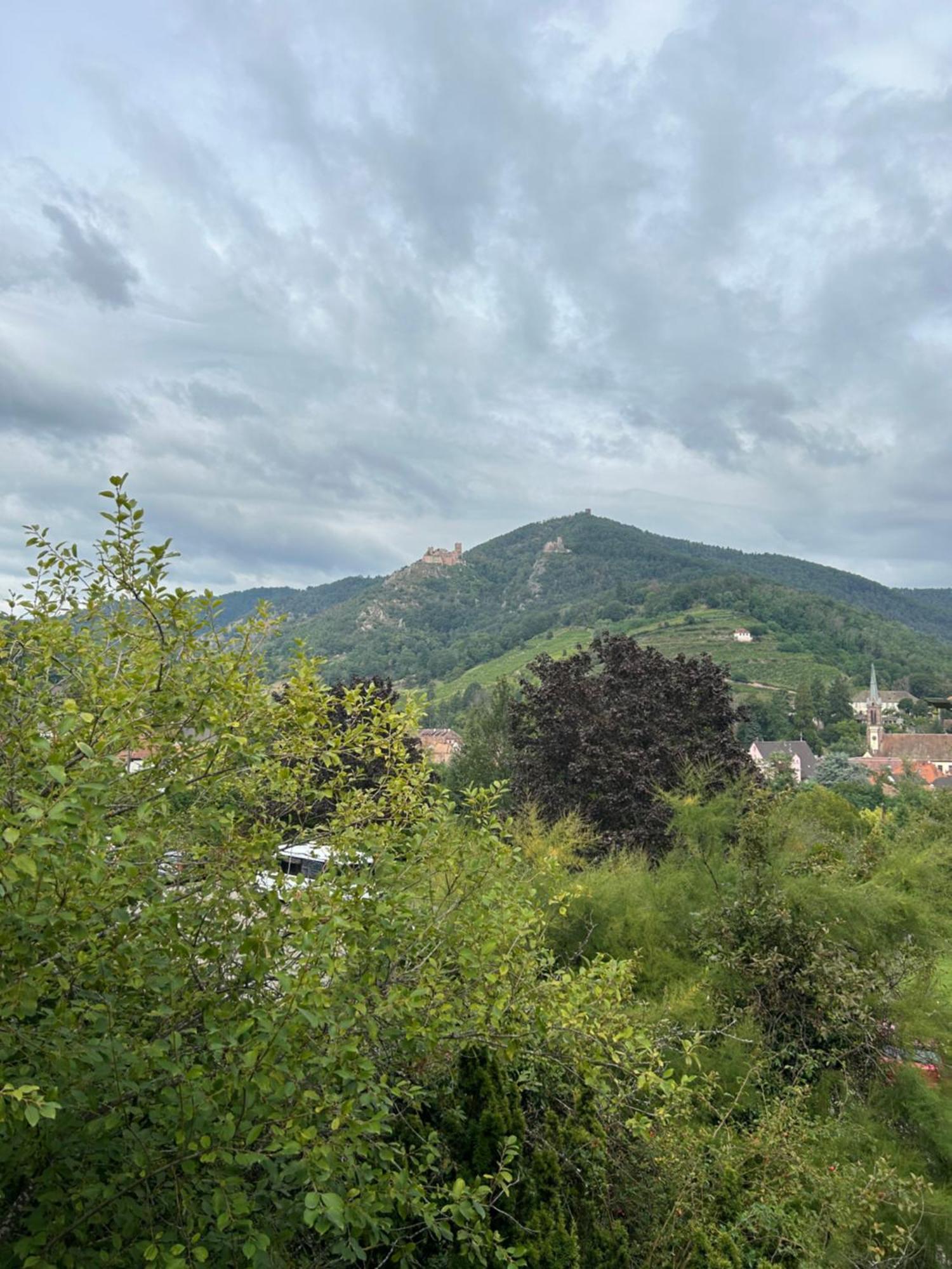 Vue Magnifique Sur Les Chateaux Ribeauville  Luaran gambar